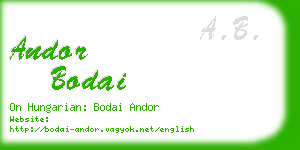 andor bodai business card